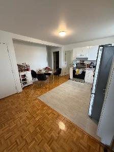 Grand 4 1/2 sud ouest - Photo 8