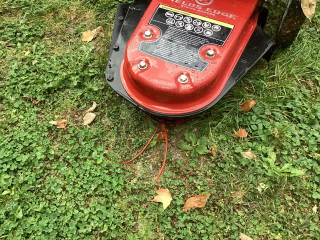 Viper Fields Edge String Trimmer - Photo 2