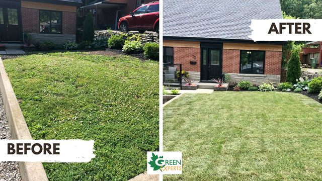 LOOKING TO ADD SOME CURB APPEAL TO YOUR HOME? LANDSCAPING