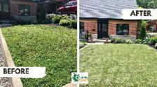 LOOKING TO ADD SOME CURB APPEAL TO YOUR HOME? LANDSCAPING