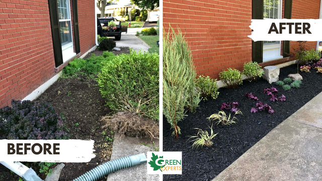 LOOKING TO ADD SOME CURB APPEAL TO YOUR HOME? LANDSCAPING - Photo 4