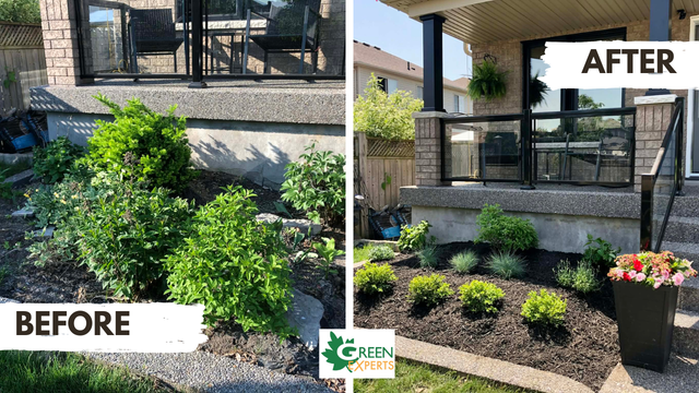 LOOKING TO ADD SOME CURB APPEAL TO YOUR HOME? LANDSCAPING - Photo 6