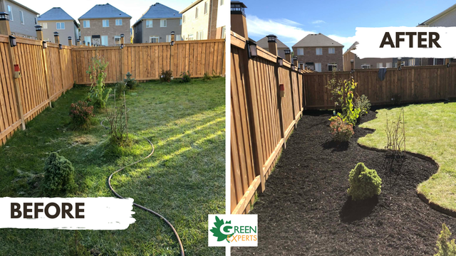 LOOKING TO ADD SOME CURB APPEAL TO YOUR HOME? LANDSCAPING - Photo 7