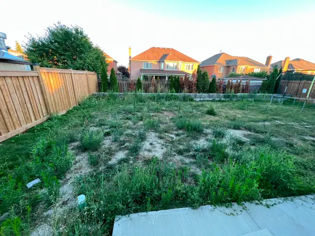 Grass Cutting - Photo 5