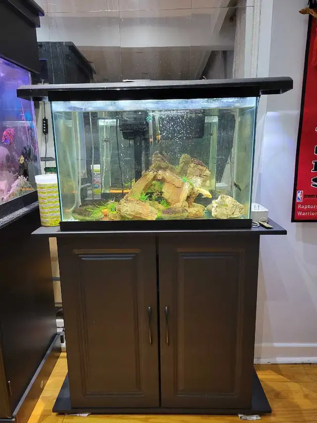 20 Gallon Aquarium For Sale