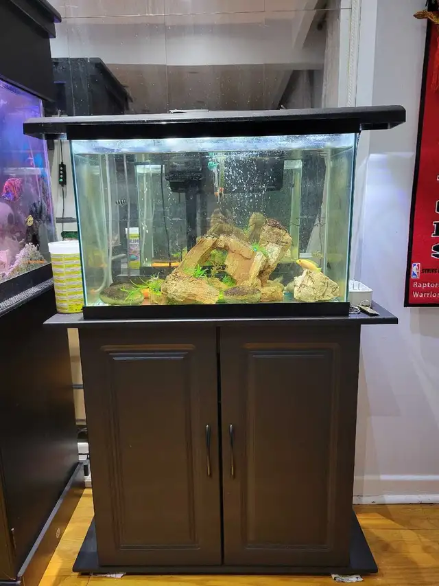 20 Gallon Aquarium For Sale - Photo 2
