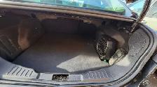 2016 Ford Focus SE - Photo 8