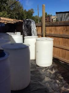 50  Gallon Barrels
