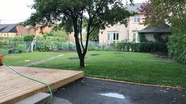 LAWN MAINTENANCE - Photo 4