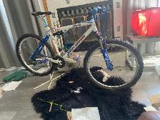 Rocky Mountain Spice