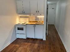 Studio de 1-1/2 sur le Plateau - Photo 3