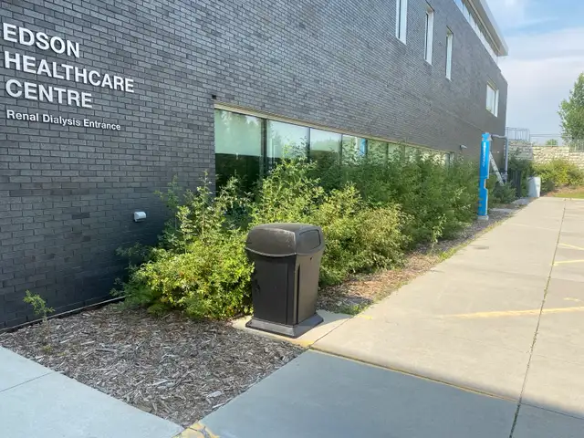 lawn  care - Photo 4