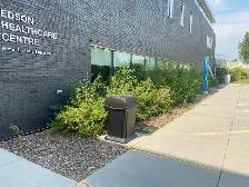 lawn  care - Photo 4