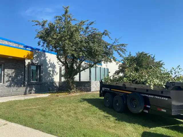 lawn  care - Photo 6