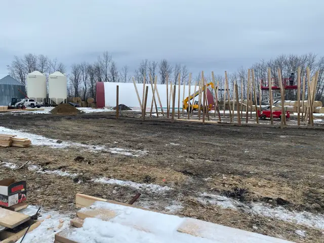 lawn  care - Photo 7