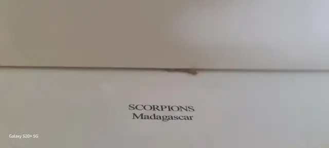 Butterfly and bug in display boxes collection.  BEST OFFER... - Photo 6