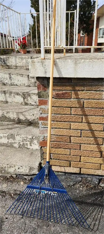 Leaf removal tools