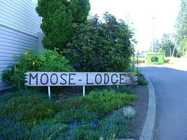 WE  ARE  BACK!  Sunday, April 26