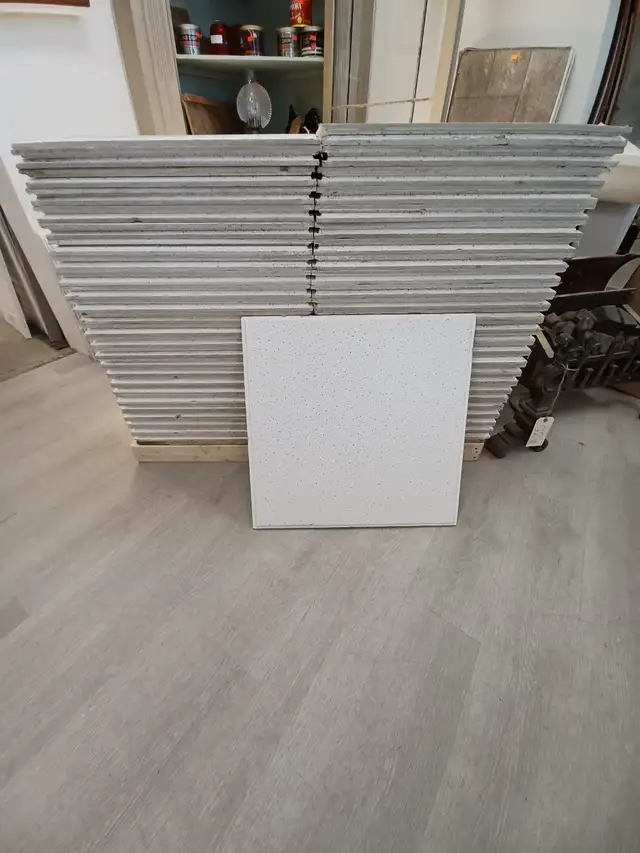 Ceiling Tiles - Photo 2