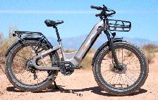 FOR SALE: FREEDARE FD Eden Step-thru Electric Bike