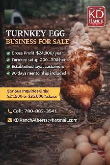Established & Profitable Homesteading Egg Business