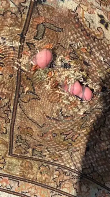 Rug cleaning and repair at Caspian Rugs Centre - Photo 7