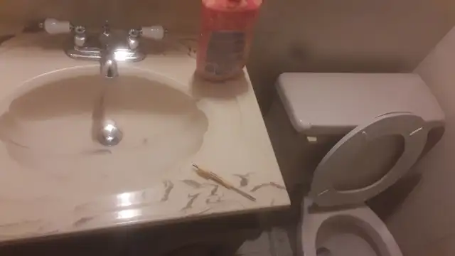 1 Bedroom Walkout basement Apartment Toronto, utilities included - Photo 7