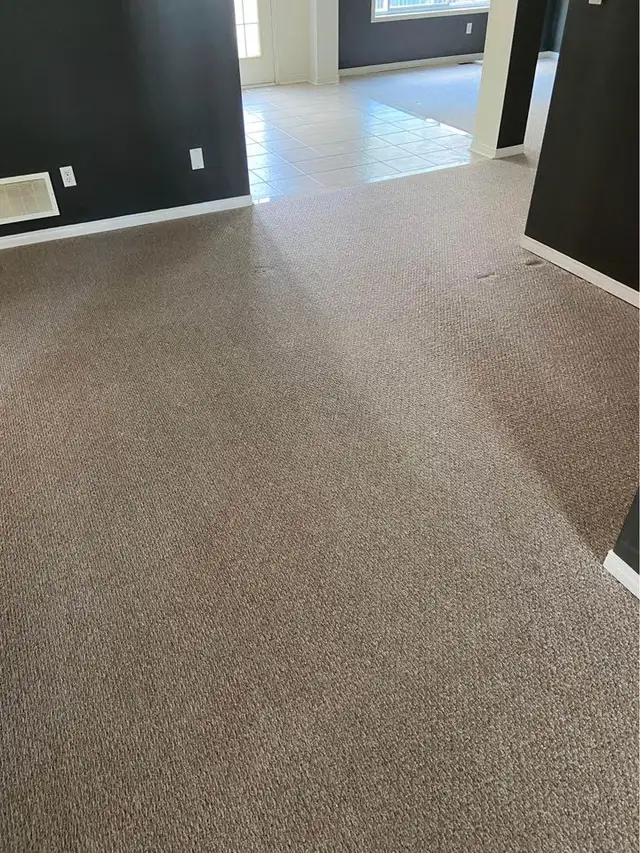 The Professional House Carpet And Couch_Upholstery Cleaning - Photo 2