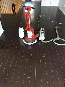 The Professional House Carpet And Couch_Upholstery Cleaning - Photo 3