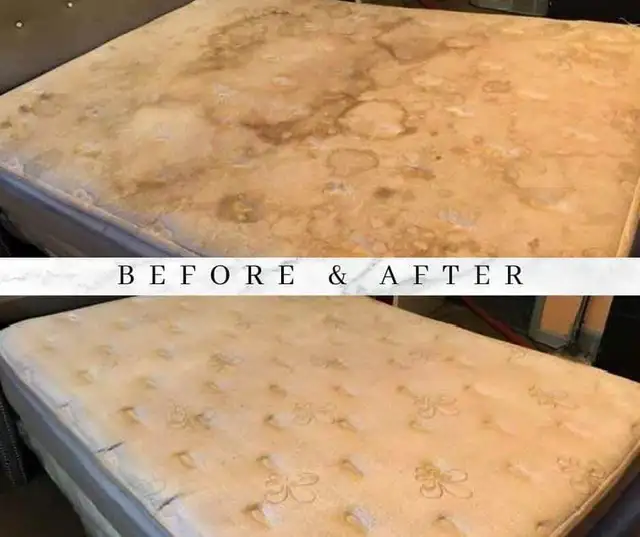 The Professional House Carpet And Couch_Upholstery Cleaning - Photo 6