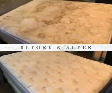 The Professional House Carpet And Couch_Upholstery Cleaning - Photo 6