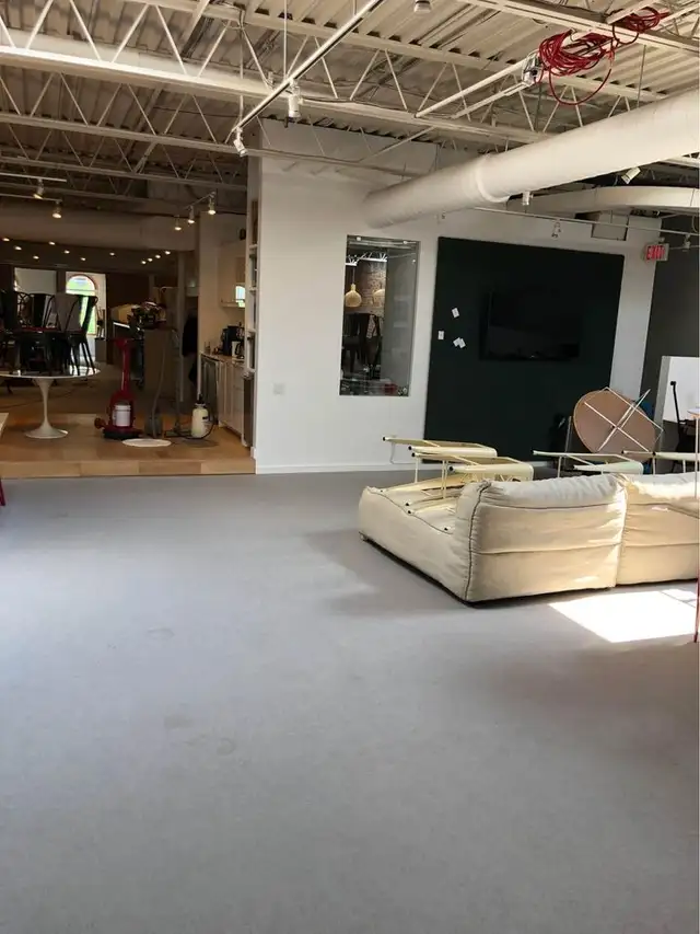 The Professional House Carpet And Couch_Upholstery Cleaning - Photo 7