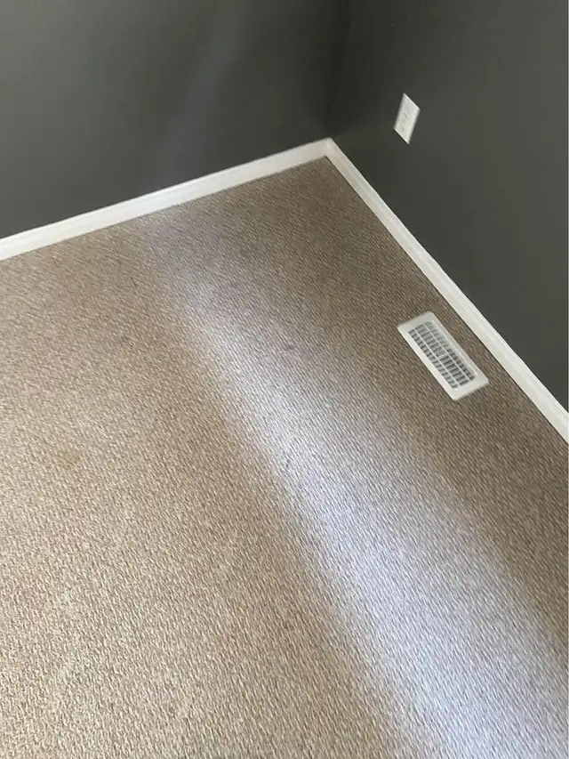 The Complete Home Carpet, Rugs and Sofa_Cleaning - Photo 5