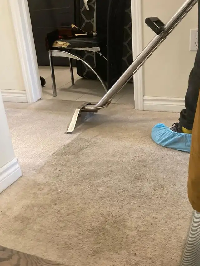 The Best Home Carpet,Rugs And Couch Cleaning - Photo 2