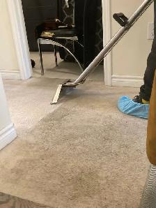 The Best Home Carpet,Rugs And Couch Cleaning - Photo 2