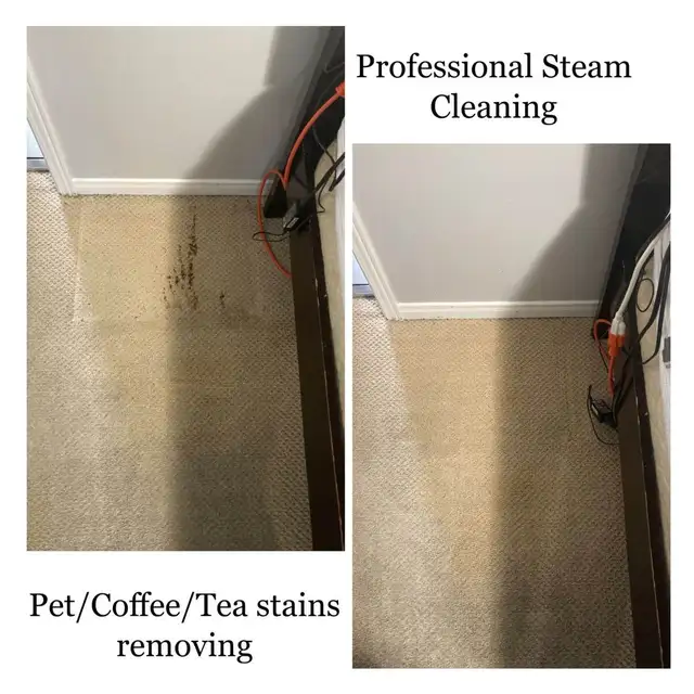 The Best Home Carpet,Rugs And Couch Cleaning - Photo 4