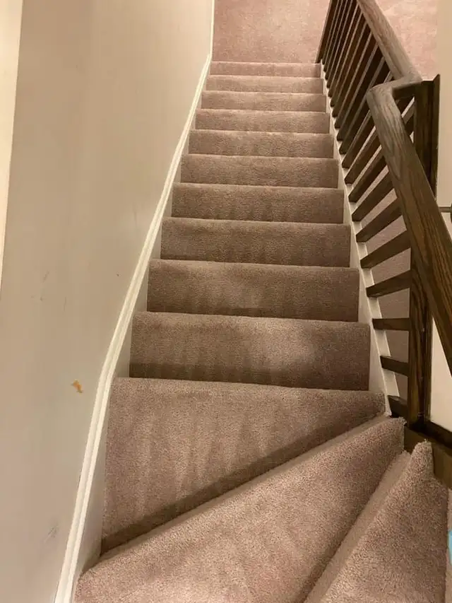 The Best Home Carpet,Rugs And Couch Cleaning - Photo 5