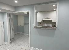 Basement for Rent in Castlemore - Photo 8