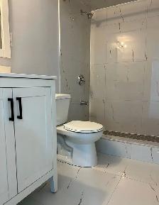 Basement for Rent in Castlemore - Photo 9
