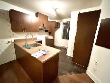 beau logement 3 1/2 renové