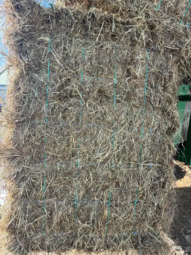 First Cut Hay - Photo 4
