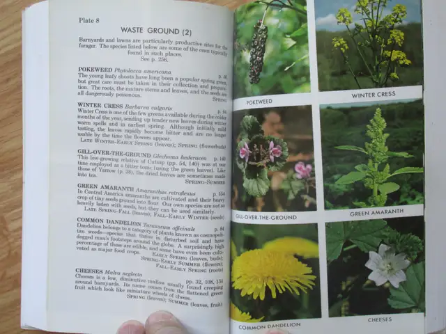 EDIBLE WILD PLANTS by Lee Allen Paterson - 1977 SC - Photo 9