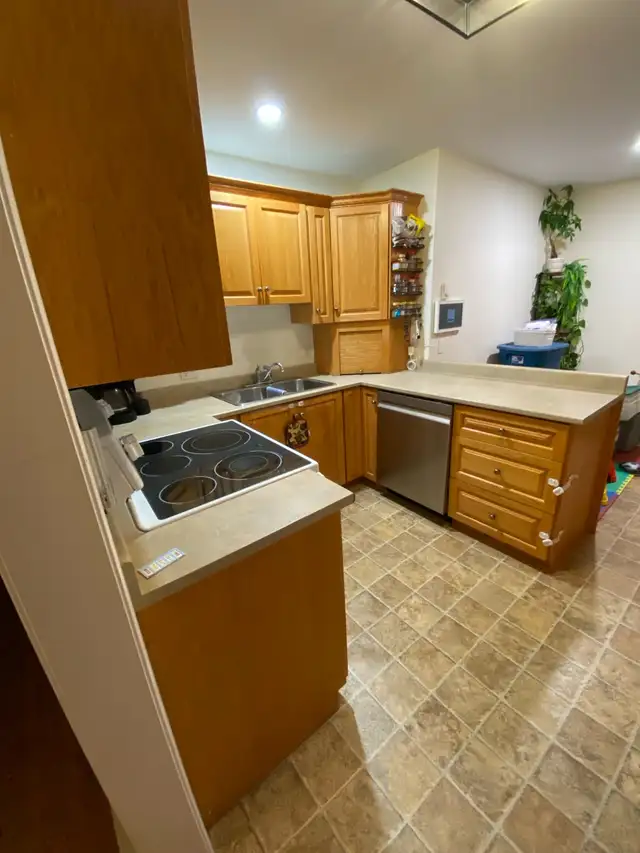 honey oak kitchen cabinets and laminate countertops - Photo 7