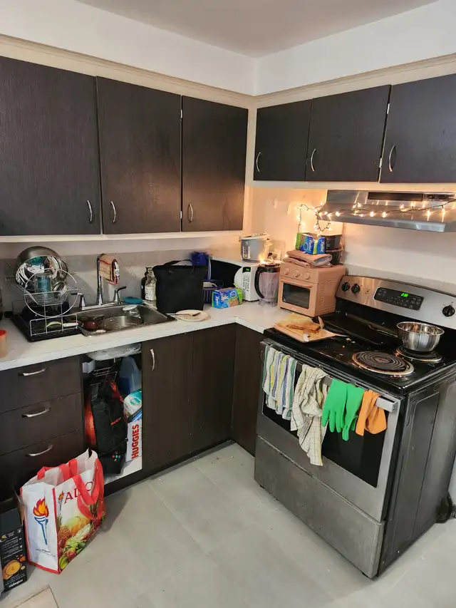 3 1/2 Lasalle July 1st/ 1er Juillet - Photo 3