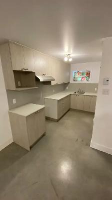 3 1/2 - A LOUER - RÉNOVÉ - MONTRÉAL- NORD 1000$