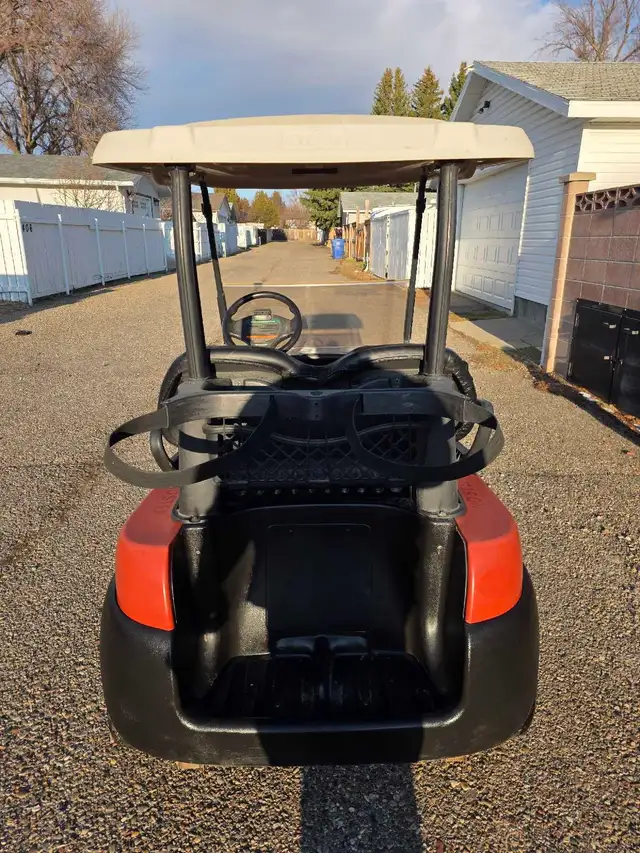 Gas Golf Cart - Photo 5