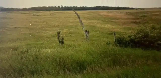 Land for sale by Tender - Photo 4