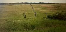 Land for sale by Tender - Photo 4