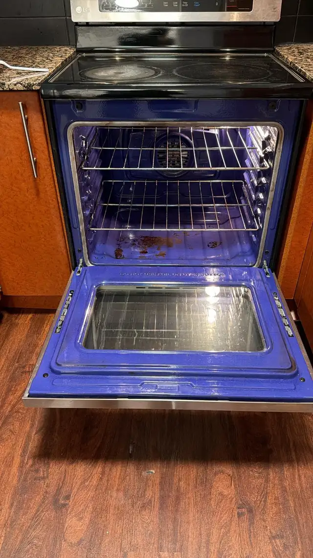 30" LG Electric Range Model LRE3194ST - Photo 3