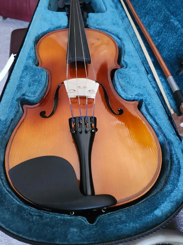 NEW VIOLA PACKAGE